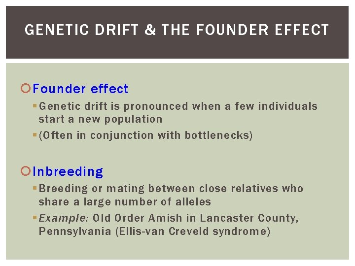 GENETIC DRIFT & THE FOUNDER EFFECT Founder effect Genetic drift is pronounced when a