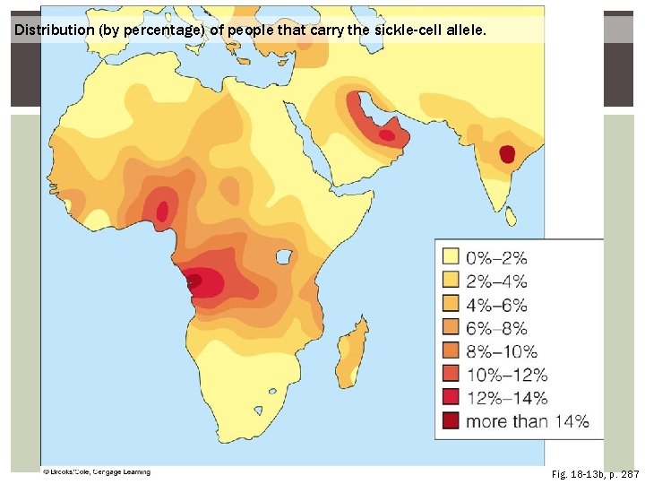 Distribution (by percentage) of people that carry the sickle-cell allele. Fig. 18 -13 b,