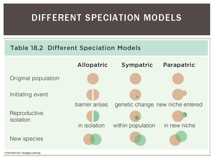 DIFFERENT SPECIATION MODELS 