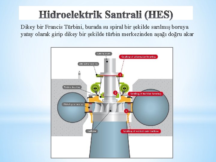 Dikey bir Francis Türbini, burada su spiral bir şekilde sarılmış boruya yatay olarak girip