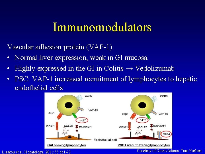 Immunomodulators Vascular adhesion protein (VAP-1) • Normal liver expression, weak in GI mucosa • Immunomodulators Vascular adhesion protein (VAP-1) • Normal liver expression, weak in GI mucosa •