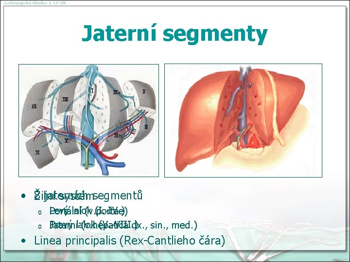 Jaterní segmenty • 8 jaterních Žilní systémsegmentů o o Levý lalok (I. -IV. )