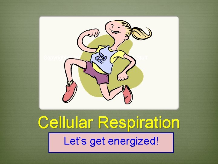 Copyrighted by Amy Brown – Science Stuff Cellular Respiration Let’s get energized! 