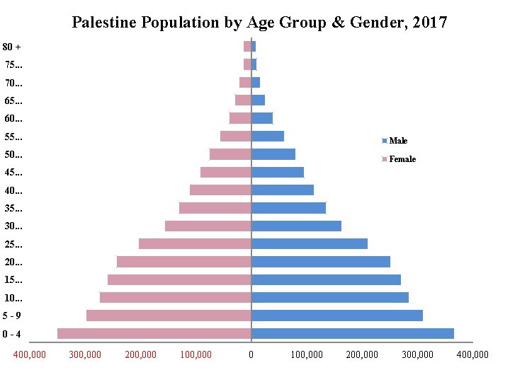 Palestine Population by Age Group & Gender, 2017 80 + 75. . . 70.