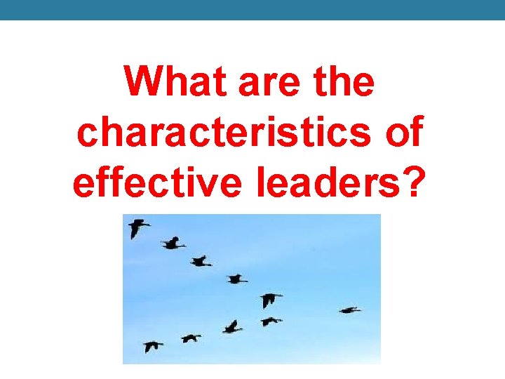 What are the characteristics of effective leaders? 