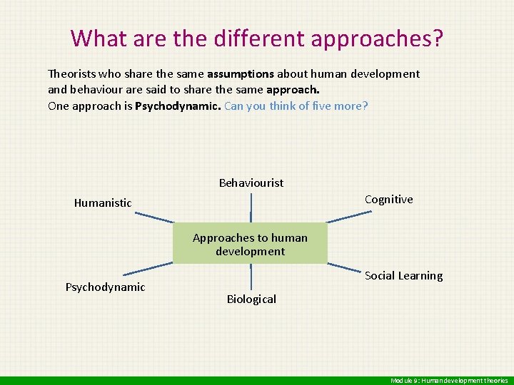 What are the different approaches? Theorists who share the same assumptions about human development