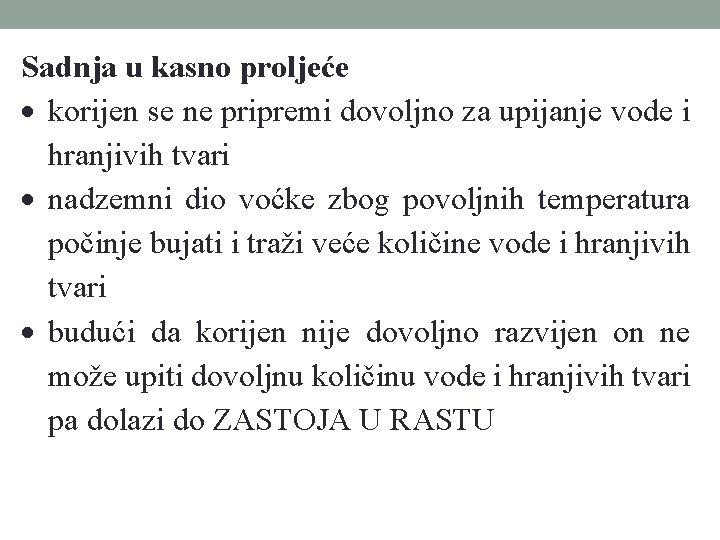 Sadnja u kasno proljeće korijen se ne pripremi dovoljno za upijanje vode i hranjivih