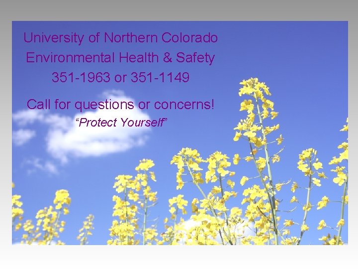 University of Northern Colorado Environmental Health & Safety 351 -1963 or 351 -1149 Call