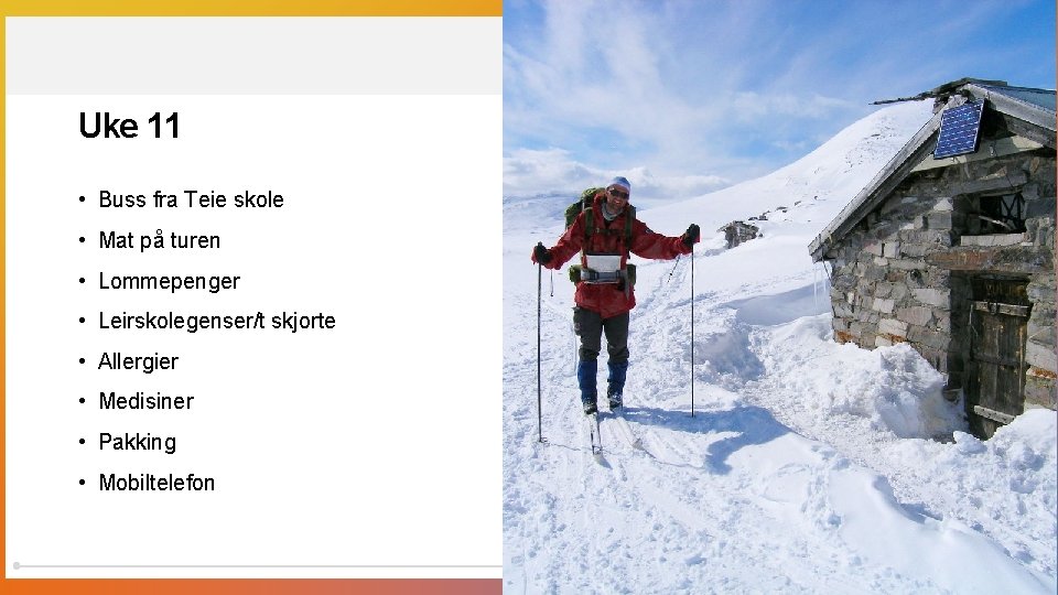 Uke 11 • Buss fra Teie skole • Mat på turen • Lommepenger Uke 11 • Buss fra Teie skole • Mat på turen • Lommepenger