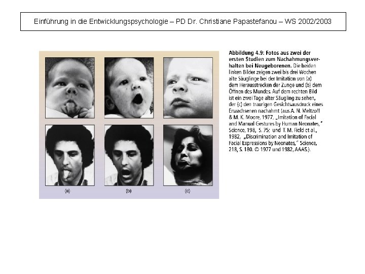 Einführung in die Entwicklungspsychologie – PD Dr. Christiane Papastefanou – WS 2002/2003 