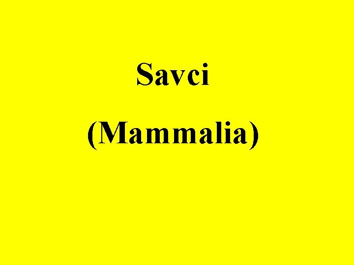 Savci (Mammalia) 