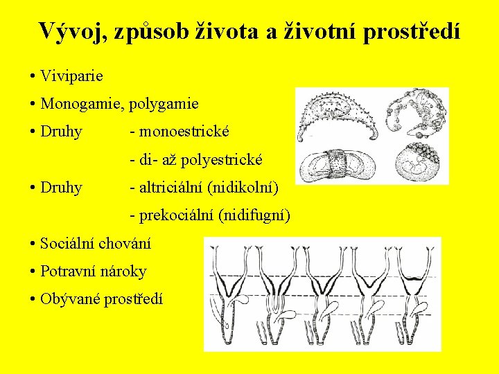 Vývoj, způsob života a životní prostředí • Viviparie • Monogamie, polygamie • Druhy -