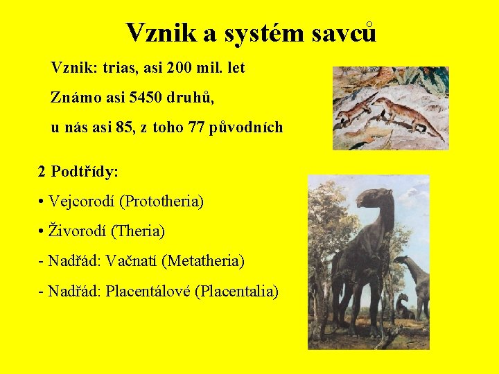 Vznik a systém savců Vznik: trias, asi 200 mil. let Známo asi 5450 druhů,