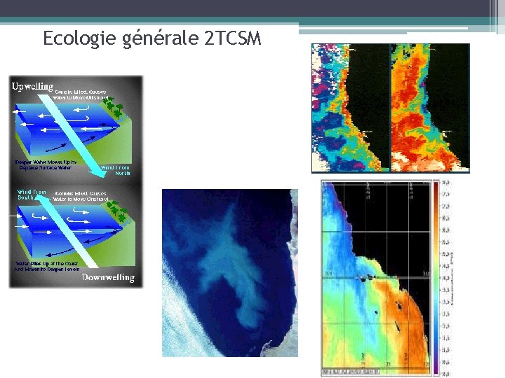 Ecologie générale 2 TCSM 