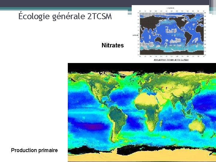 Écologie générale 2 TCSM Nitrates Production primaire 