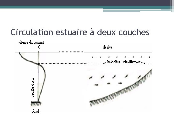 Circulation estuaire à deux couches 