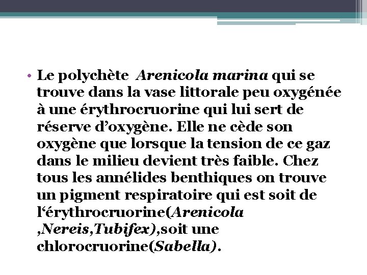  • Le polychète Arenicola marina qui se trouve dans la vase littorale peu