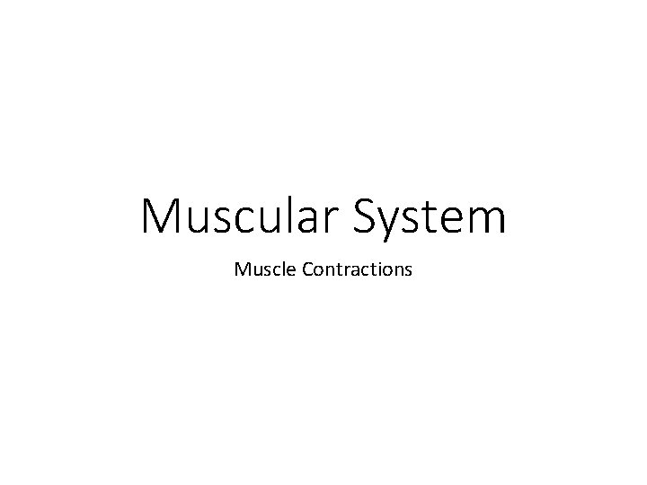 Muscular System Muscle Contractions 