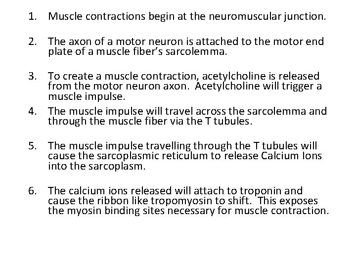 1. Muscle contractions begin at the neuromuscular junction. 2. The axon of a motor