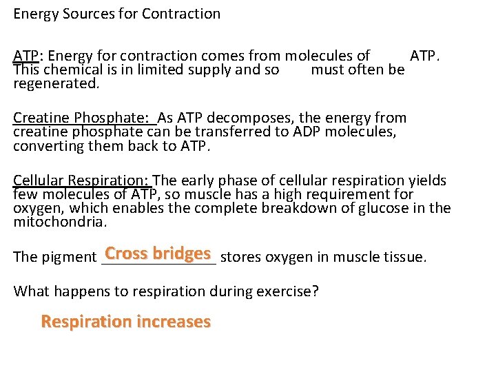 Energy Sources for Contraction ATP: Energy for contraction comes from molecules of ATP. This