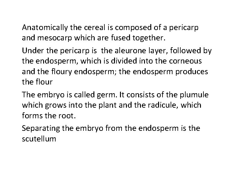 Anatomically the cereal is composed of a pericarp and mesocarp which are fused together.