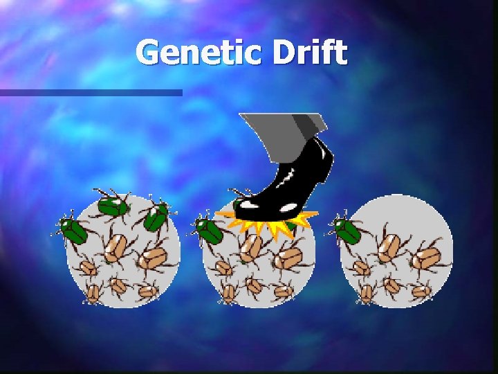 Genetic Drift 