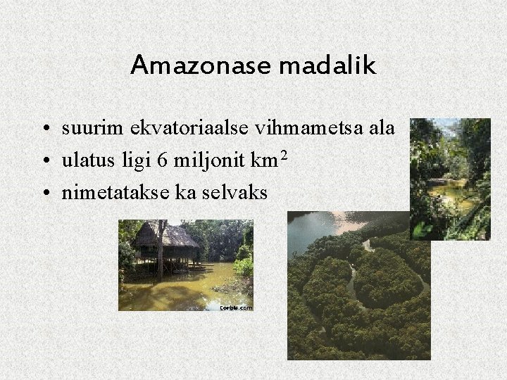 Amazonase madalik • suurim ekvatoriaalse vihmametsa ala • ulatus ligi 6 miljonit km 2