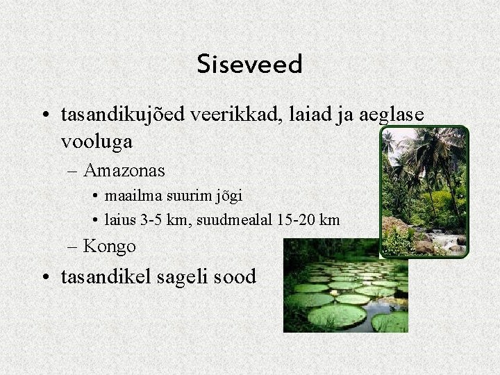 Siseveed • tasandikujõed veerikkad, laiad ja aeglase vooluga – Amazonas • maailma suurim jõgi