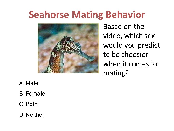 Seahorse Mating Behavior Based on the video, which sex would you predict to be