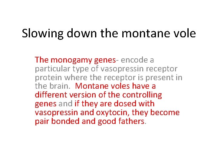 Slowing down the montane vole The monogamy genes- encode a particular type of vasopressin