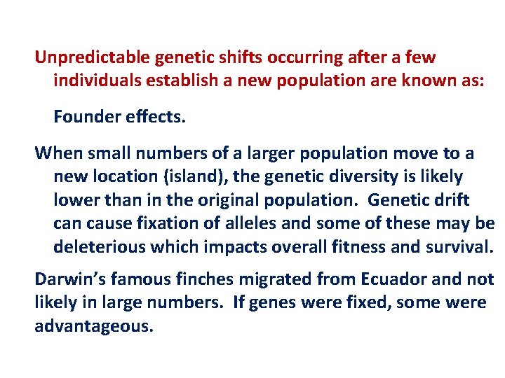 Unpredictable genetic shifts occurring after a few individuals establish a new population are known