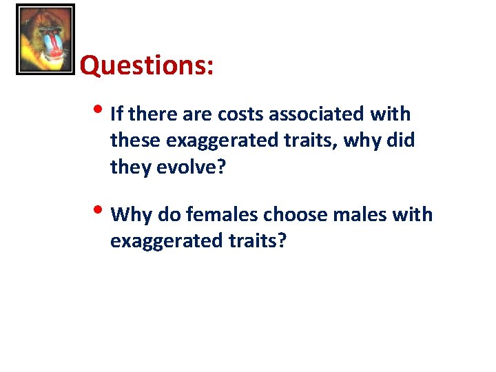 Questions: • If there are costs associated with these exaggerated traits, why did they