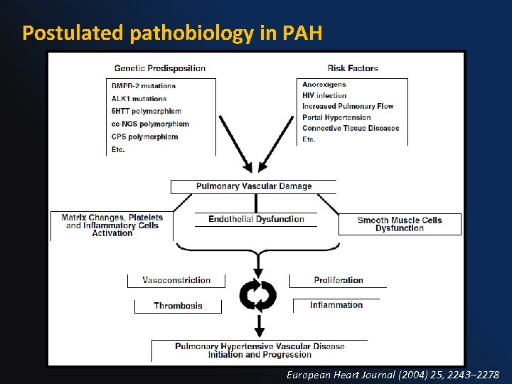 Postulated pathobiology in PAH European Heart Journal (2004) 25, 2243– 2278 
