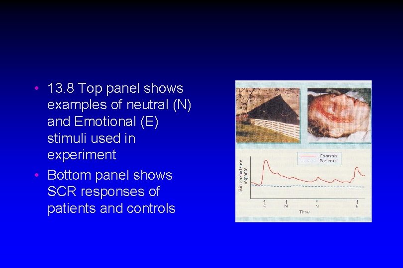  • 13. 8 Top panel shows examples of neutral (N) and Emotional (E)