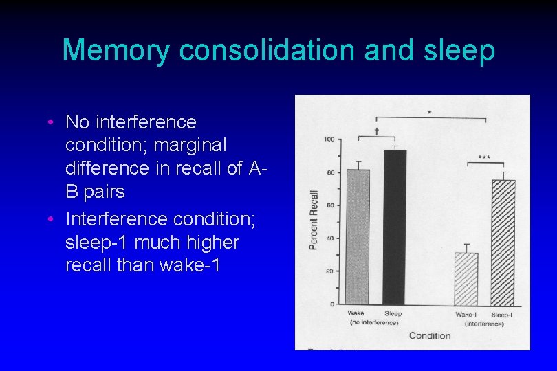 Memory consolidation and sleep • No interference condition; marginal difference in recall of AB