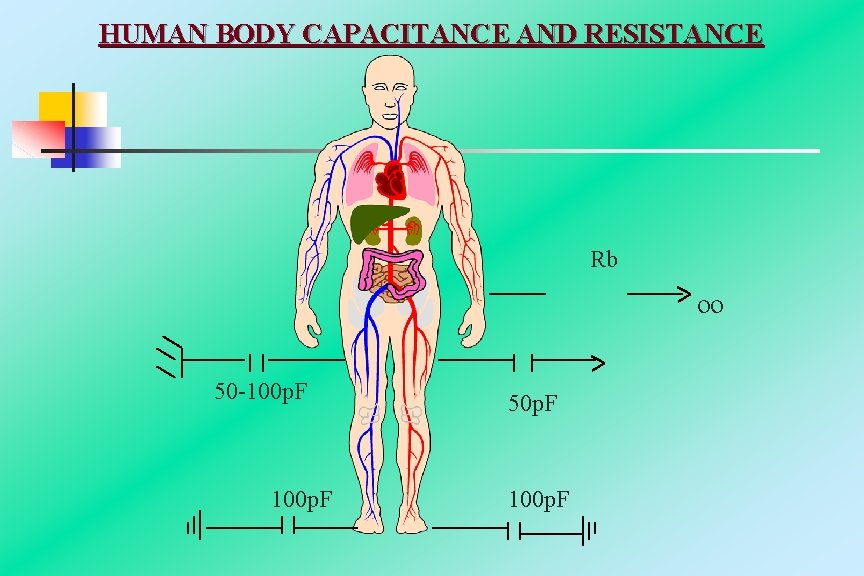 HUMAN BODY CAPACITANCE AND RESISTANCE Rb ^ oo ^ 50 -100 p. F 50