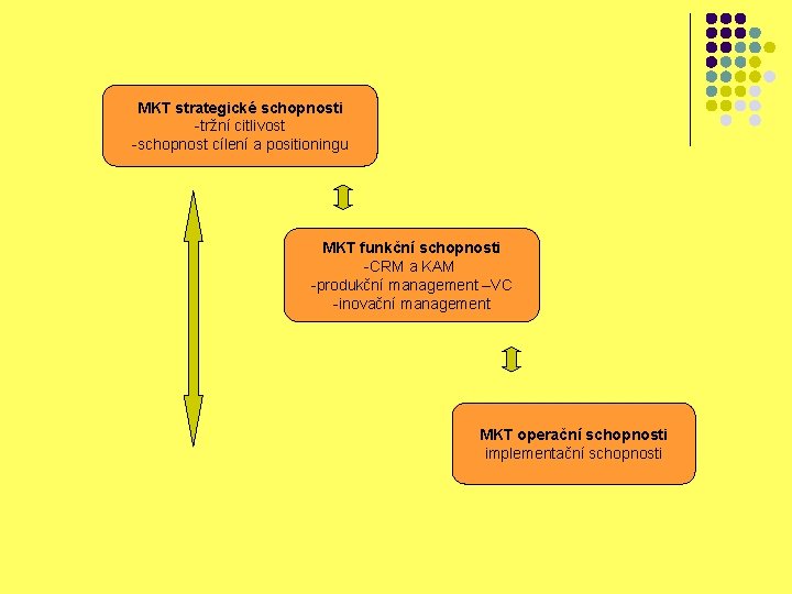 MKT strategické schopnosti -tržní citlivost -schopnost cílení a positioningu MKT funkční schopnosti -CRM a