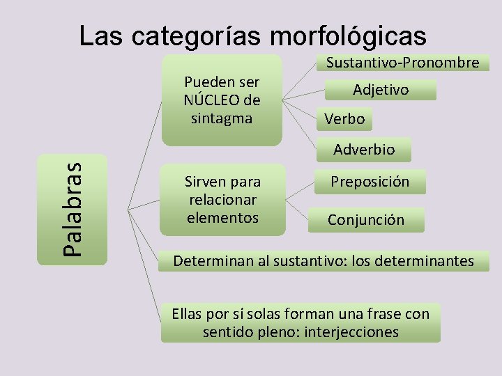 Las categorías morfológicas Pueden ser NÚCLEO de sintagma Sustantivo-Pronombre Adjetivo Verbo Palabras Adverbio Sirven Las categorías morfológicas Pueden ser NÚCLEO de sintagma Sustantivo-Pronombre Adjetivo Verbo Palabras Adverbio Sirven