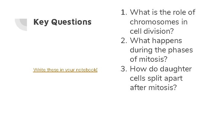 Key Questions Write these in your notebook! 1. What is the role of chromosomes