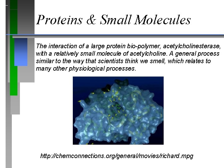 Proteins & Small Molecules The interaction of a large protein bio-polymer, acetylcholinesterase, with a