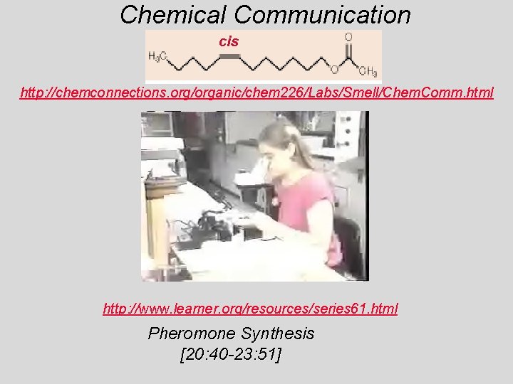 Chemical Communication cis/ Pheromones Smell http: //chemconnections. org/organic/chem 226/Labs/Smell/Chem. Comm. html http: //www. learner.