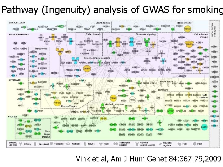 Gwas Science Science triumphant the GWAS revolution in complex trait