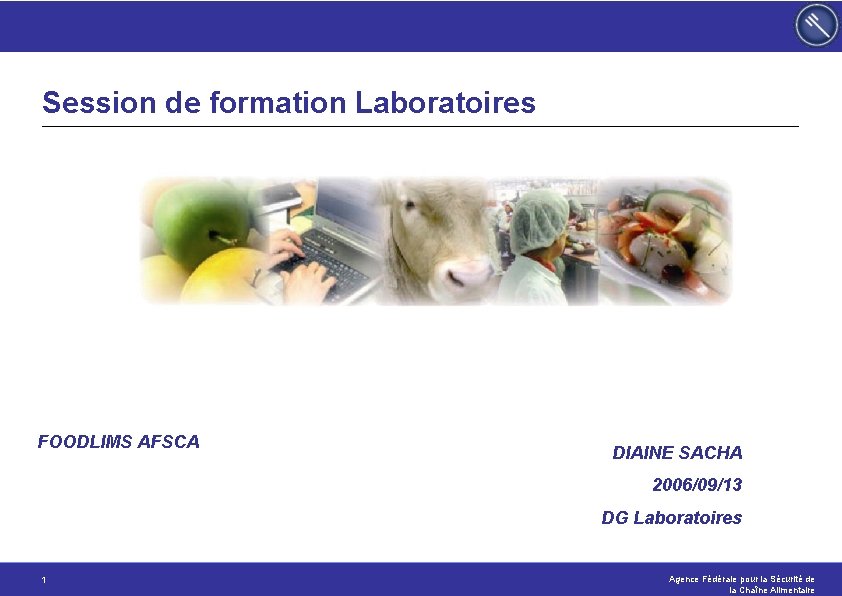 Session de formation Laboratoires FOODLIMS AFSCA DIAINE SACHA 2006/09/13 DG Laboratoires 1 Agence Fédérale