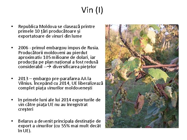 Vin (I) • Republica Moldova se clasează printre primele 10 țări producătoare și exportatoare