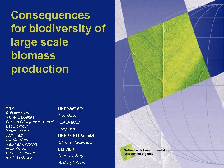 Consequences for biodiversity of large scale biomass production MNP Rob Alkemade Michel Bakkenes Ben