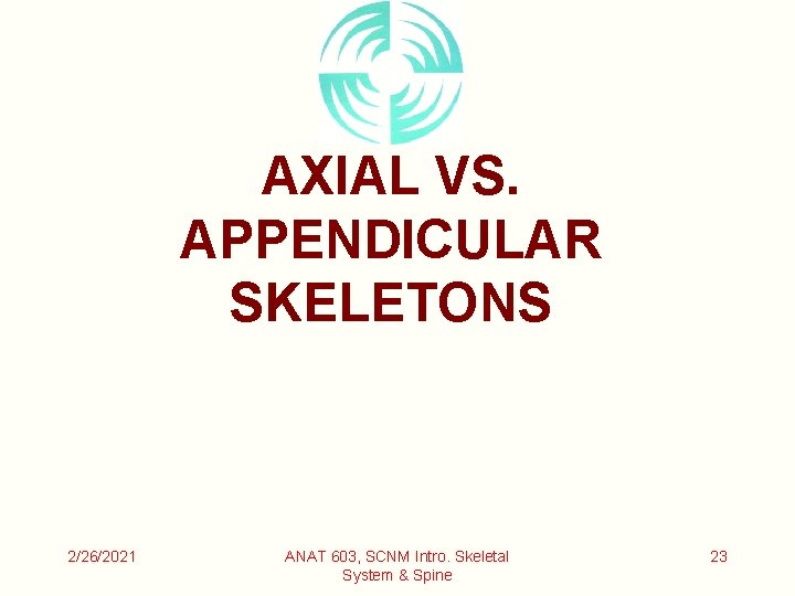 AXIAL VS. APPENDICULAR SKELETONS 2/26/2021 ANAT 603, SCNM Intro. Skeletal System & Spine 23