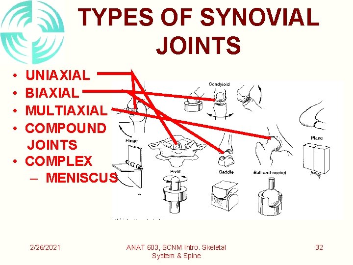 TYPES OF SYNOVIAL JOINTS • • UNIAXIAL BIAXIAL MULTIAXIAL COMPOUND JOINTS • COMPLEX –