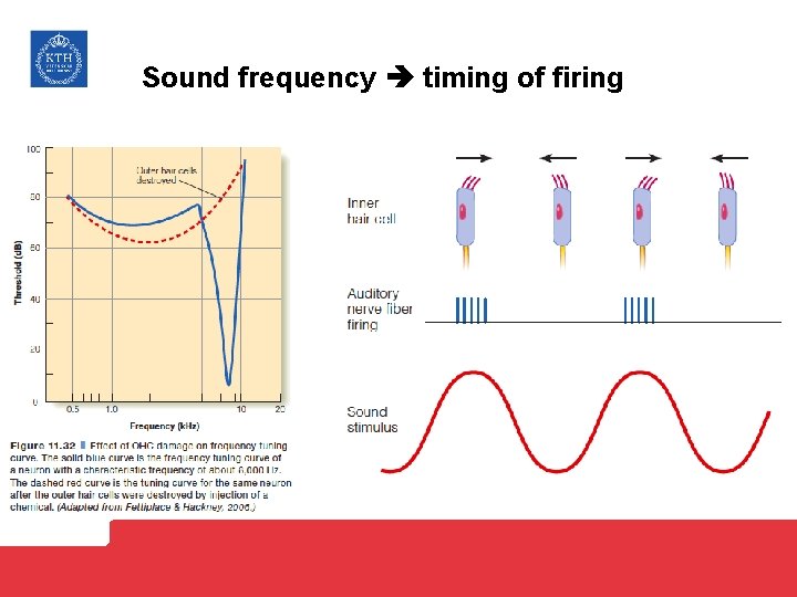 Sound frequency timing of firing 