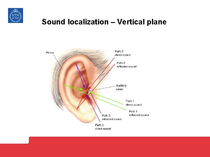 Sound localization – Vertical plane 