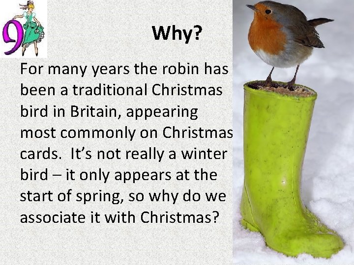 Why? For many years the robin has been a traditional Christmas bird in Britain,